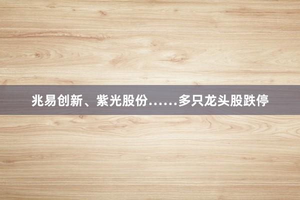 兆易创新、紫光股份……多只龙头股跌停
