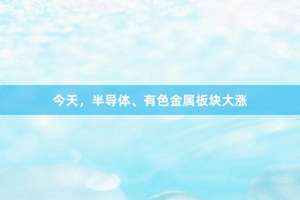 今天，半导体、有色金属板块大涨