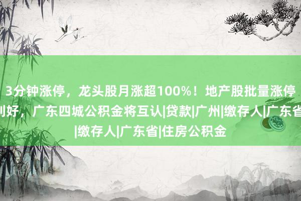 3分钟涨停，龙头股月涨超100%！地产股批量涨停，楼市多重利好，广东四城公积金将互认|贷款|广州|缴存人|广东省|住房公积金