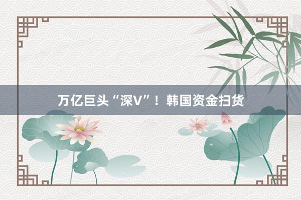 万亿巨头“深V”！韩国资金扫货