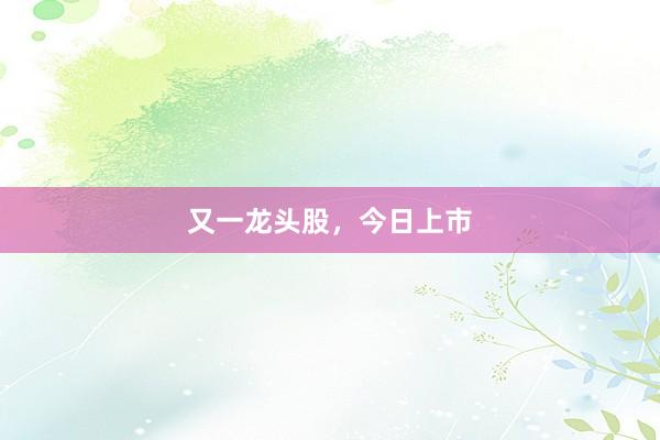 又一龙头股，今日上市