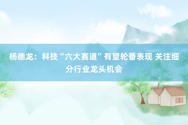 杨德龙：科技“六大赛道”有望轮番表现 关注细分行业龙头机会