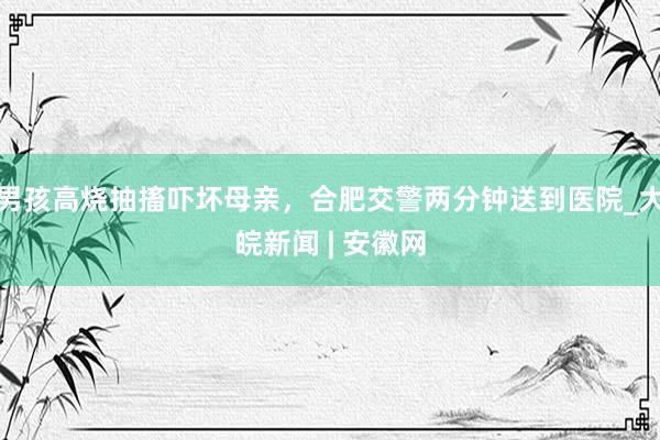 男孩高烧抽搐吓坏母亲，合肥交警两分钟送到医院_大皖新闻 | 安徽网