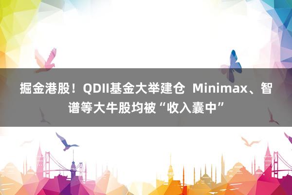 掘金港股！QDII基金大举建仓  Minimax、智谱等大牛股均被“收入囊中”