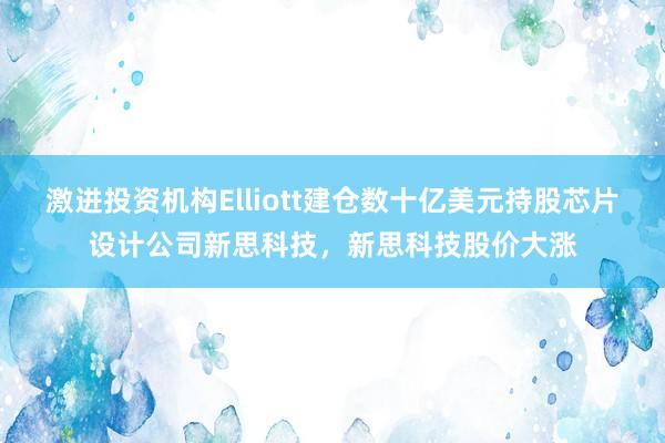 激进投资机构Elliott建仓数十亿美元持股芯片设计公司新思科技，新思科技股价大涨