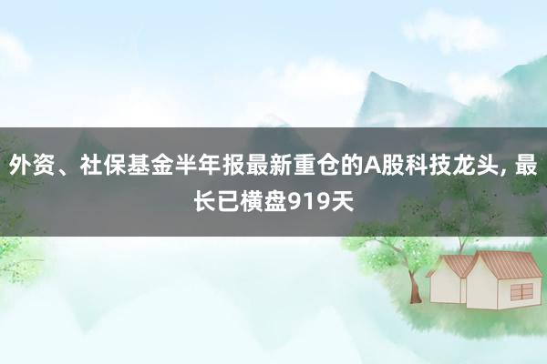 外资、社保基金半年报最新重仓的A股科技龙头, 最长已横盘919天