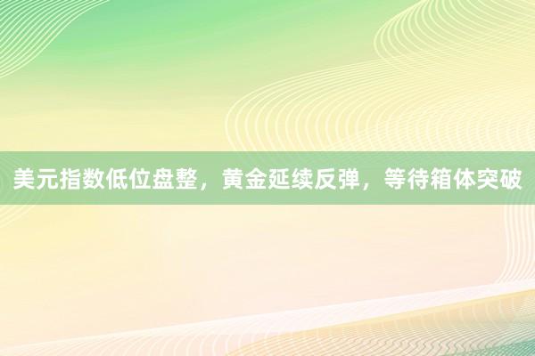 美元指数低位盘整，黄金延续反弹，等待箱体突破