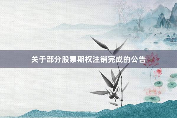 关于部分股票期权注销完成的公告
