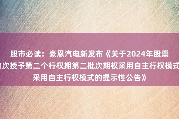 股市必读：豪恩汽电新发布《关于2024年股票期权激励计划首次授予第二个行权期第二批次期权采用自主行权模式的提示性公告》