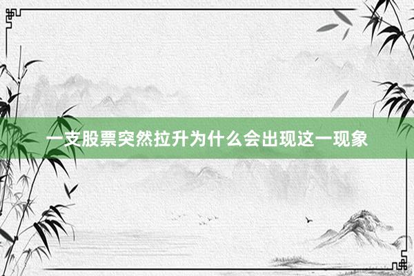 一支股票突然拉升为什么会出现这一现象