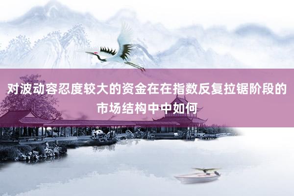 对波动容忍度较大的资金在在指数反复拉锯阶段的市场结构中中如何