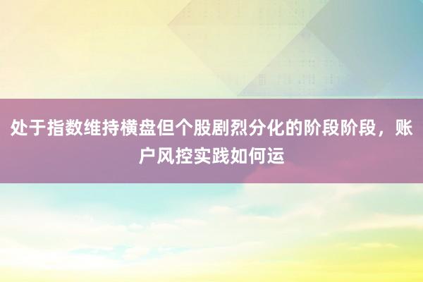 处于指数维持横盘但个股剧烈分化的阶段阶段，账户风控实践如何运