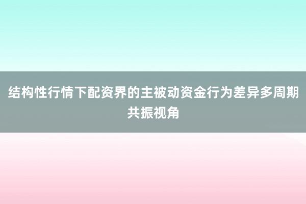 结构性行情下配资界的主被动资金行为差异多周期共振视角