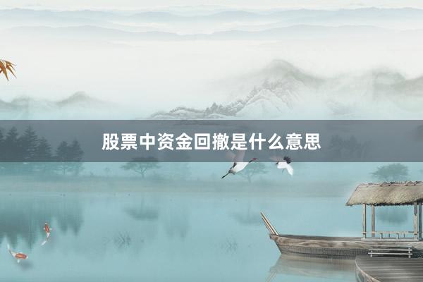 股票中资金回撤是什么意思
