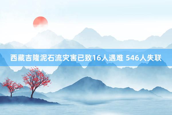 西藏吉隆泥石流灾害已致16人遇难 546人失联