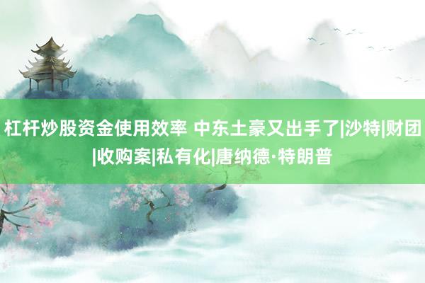 杠杆炒股资金使用效率 中东土豪又出手了|沙特|财团|收购案|私有化|唐纳德·特朗普