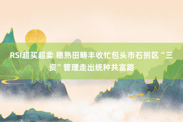 RSI超买超卖 穗熟田畴丰收忙包头市石拐区“三资”管理走出统种共富路