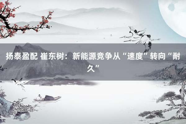扬泰盈配 崔东树:新能源竞争从“速度”转向“耐久”